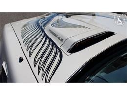 1981 Pontiac Firebird Trans Am (CC-2065424) for sale in Ruskin, Florida