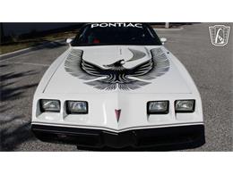 1981 Pontiac Firebird Trans Am (CC-2065424) for sale in Ruskin, Florida