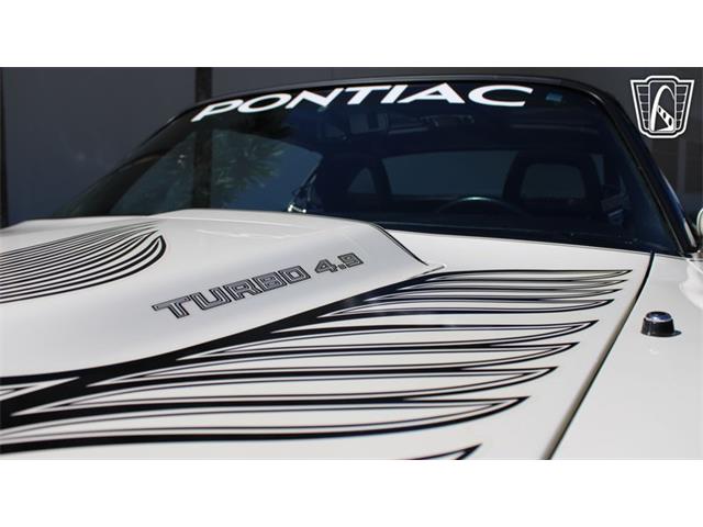 1981 Pontiac Firebird Trans Am (CC-2065424) for sale in Ruskin, Florida