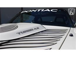 1981 Pontiac Firebird Trans Am (CC-2065424) for sale in Ruskin, Florida