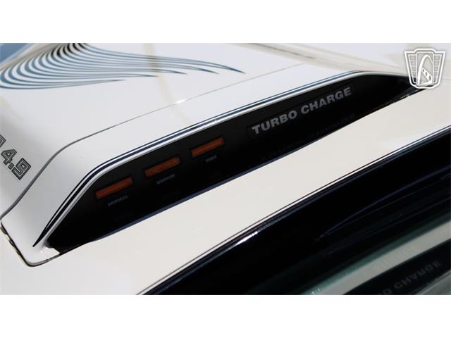 1981 Pontiac Firebird Trans Am (CC-2065424) for sale in Ruskin, Florida