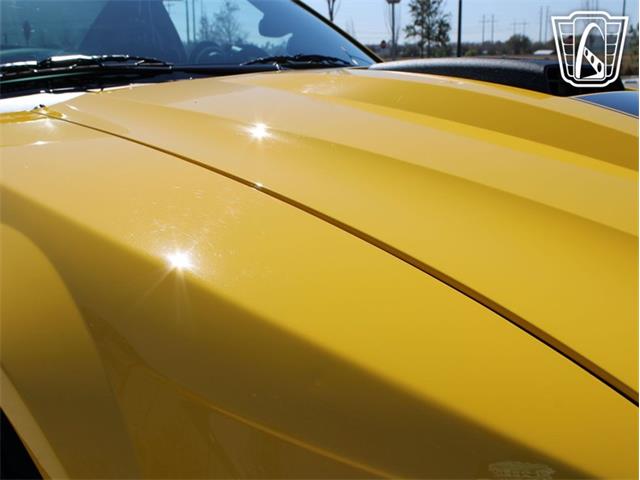 2004 Ford Mustang (CC-2065428) for sale in Ruskin, Florida