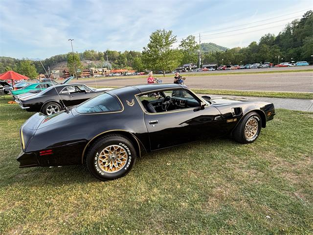 1977 Pontiac Firebird Trans Am (CC-2065437) for sale in Addison, Illinois