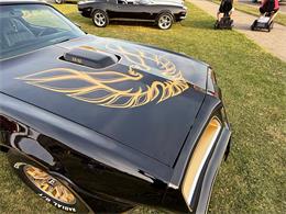 1977 Pontiac Firebird Trans Am (CC-2065437) for sale in Addison, Illinois
