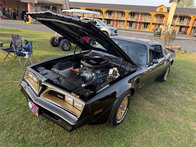 1977 Pontiac Firebird Trans Am (CC-2065437) for sale in Addison, Illinois
