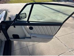 1987 Porsche 911 Carrera (CC-2065453) for sale in Cadillac, Michigan