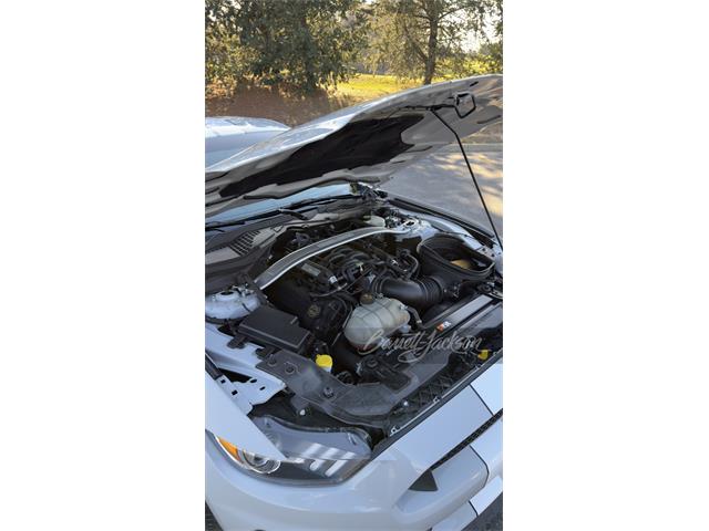 2016 Ford Mustang (CC-2065470) for sale in Palm Beach, Florida