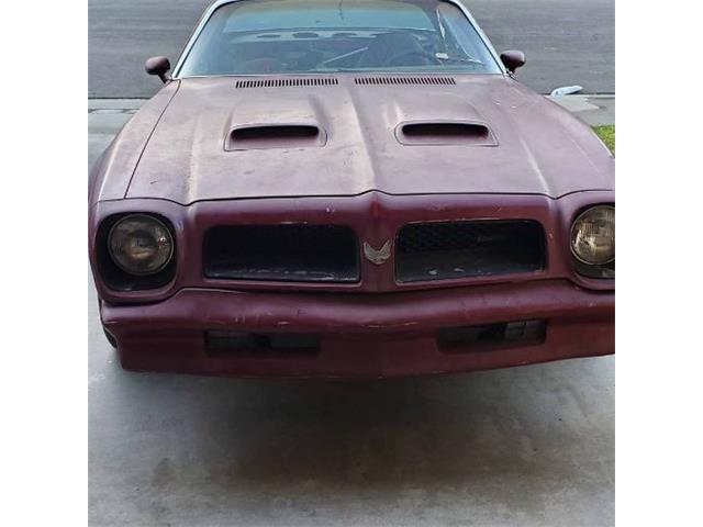 1976 Pontiac Firebird (CC-2065479) for sale in Cadillac, Michigan