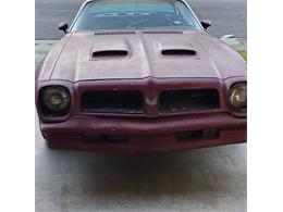 1976 Pontiac Firebird (CC-2065479) for sale in Cadillac, Michigan