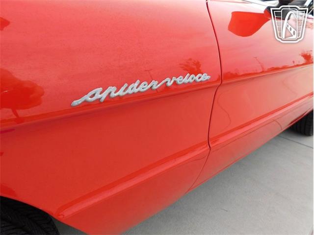 1984 Alfa Romeo 2000 Spider Veloce (CC-2065486) for sale in Ruskin, Florida
