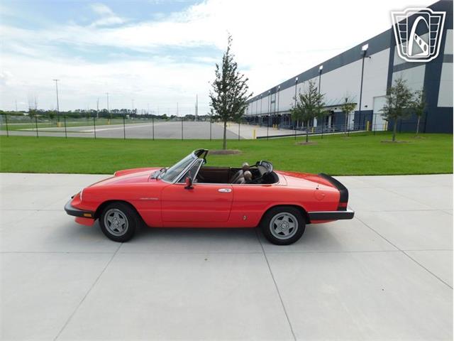 1984 Alfa Romeo 2000 Spider Veloce (CC-2065486) for sale in Ruskin, Florida