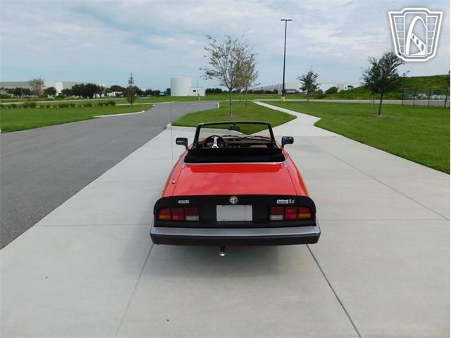 1984 Alfa Romeo 2000 Spider Veloce (CC-2065486) for sale in Ruskin, Florida