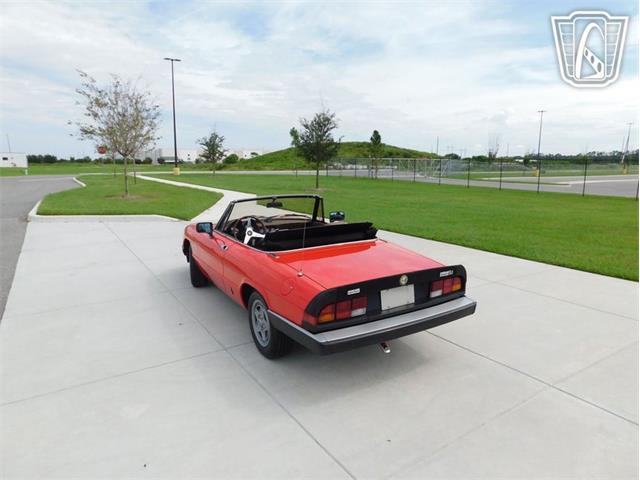 1984 Alfa Romeo 2000 Spider Veloce (CC-2065486) for sale in Ruskin, Florida