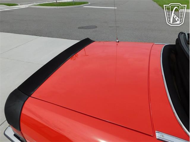 1984 Alfa Romeo 2000 Spider Veloce (CC-2065486) for sale in Ruskin, Florida