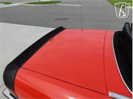 1984 Alfa Romeo 2000 Spider Veloce (CC-2065486) for sale in Ruskin, Florida