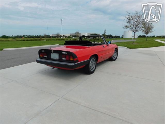 1984 Alfa Romeo 2000 Spider Veloce (CC-2065486) for sale in Ruskin, Florida