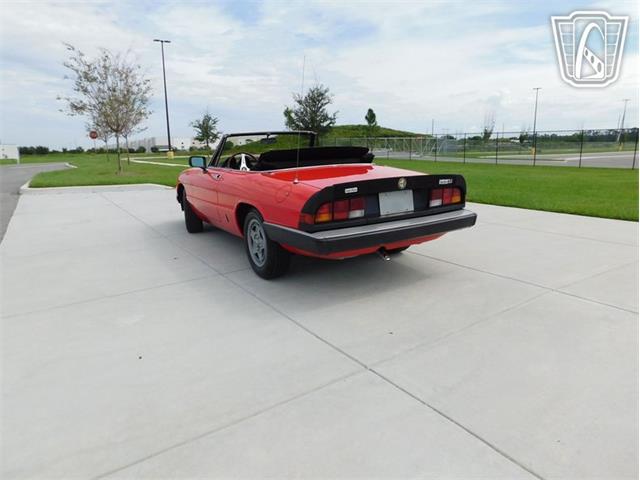 1984 Alfa Romeo 2000 Spider Veloce (CC-2065486) for sale in Ruskin, Florida