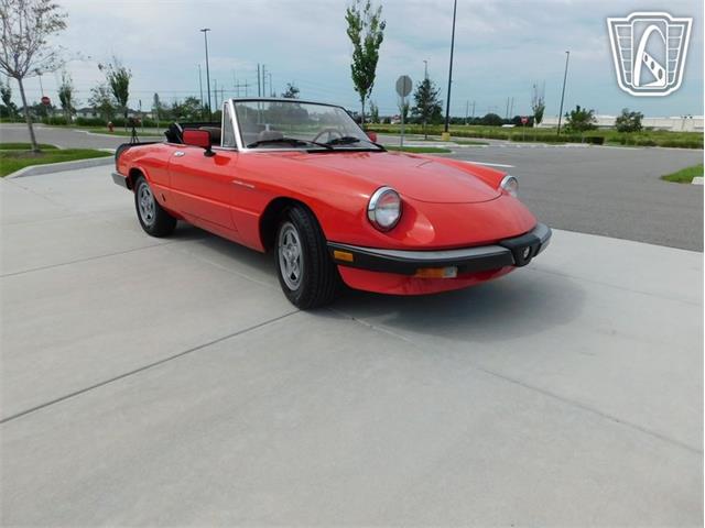 1984 Alfa Romeo 2000 Spider Veloce (CC-2065486) for sale in Ruskin, Florida