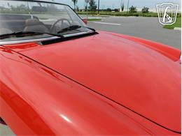 1984 Alfa Romeo 2000 Spider Veloce (CC-2065486) for sale in Ruskin, Florida