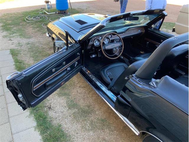 1968 Shelby GT350 (CC-2065496) for sale in Fredericksburg, Texas