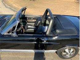 1968 Shelby GT350 (CC-2065496) for sale in Fredericksburg, Texas