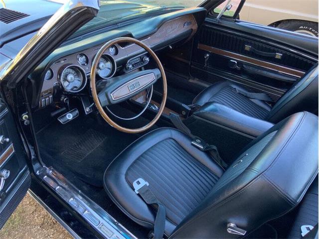 1968 Shelby GT350 (CC-2065496) for sale in Fredericksburg, Texas
