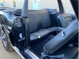 1968 Shelby GT350 (CC-2065496) for sale in Fredericksburg, Texas