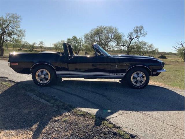 1968 Shelby GT350 (CC-2065496) for sale in Fredericksburg, Texas