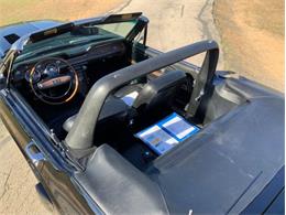 1968 Shelby GT350 (CC-2065496) for sale in Fredericksburg, Texas