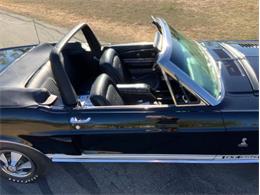 1968 Shelby GT350 (CC-2065496) for sale in Fredericksburg, Texas