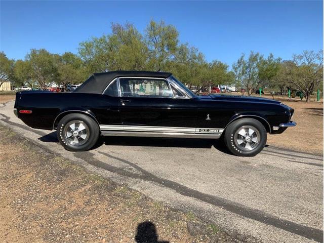 1968 Shelby GT350 (CC-2065496) for sale in Fredericksburg, Texas