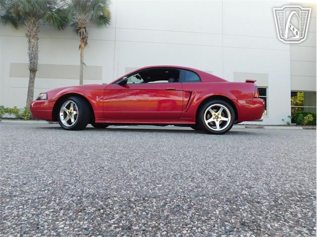 2001 Ford Mustang (CC-2065500) for sale in Ruskin, Florida
