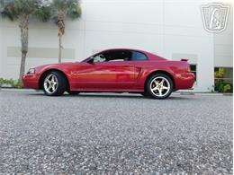 2001 Ford Mustang (CC-2065500) for sale in Ruskin, Florida