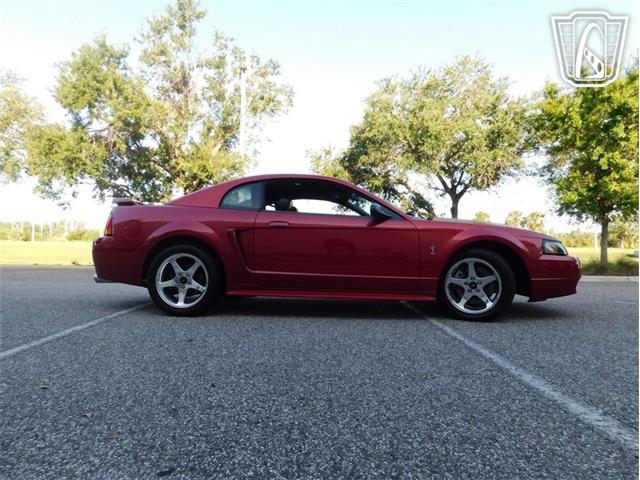 2001 Ford Mustang (CC-2065500) for sale in Ruskin, Florida