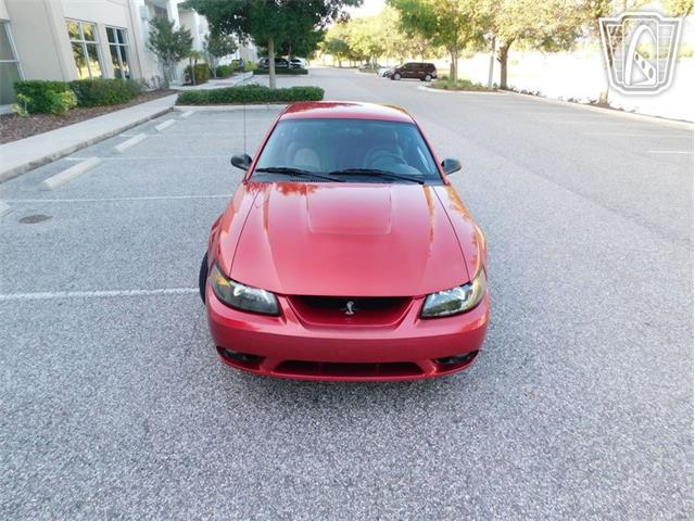 2001 Ford Mustang (CC-2065500) for sale in Ruskin, Florida