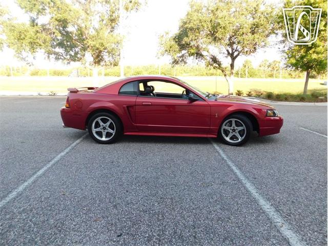 2001 Ford Mustang (CC-2065500) for sale in Ruskin, Florida
