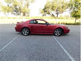 2001 Ford Mustang (CC-2065500) for sale in Ruskin, Florida