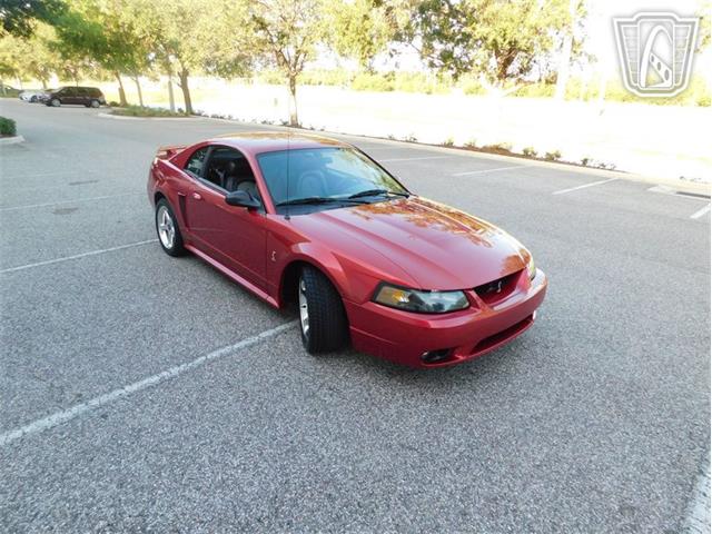 2001 Ford Mustang (CC-2065500) for sale in Ruskin, Florida