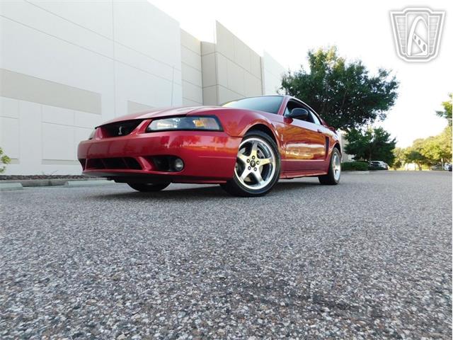 2001 Ford Mustang (CC-2065500) for sale in Ruskin, Florida