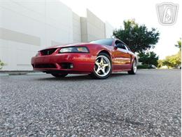 2001 Ford Mustang (CC-2065500) for sale in Ruskin, Florida