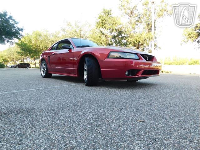 2001 Ford Mustang (CC-2065500) for sale in Ruskin, Florida