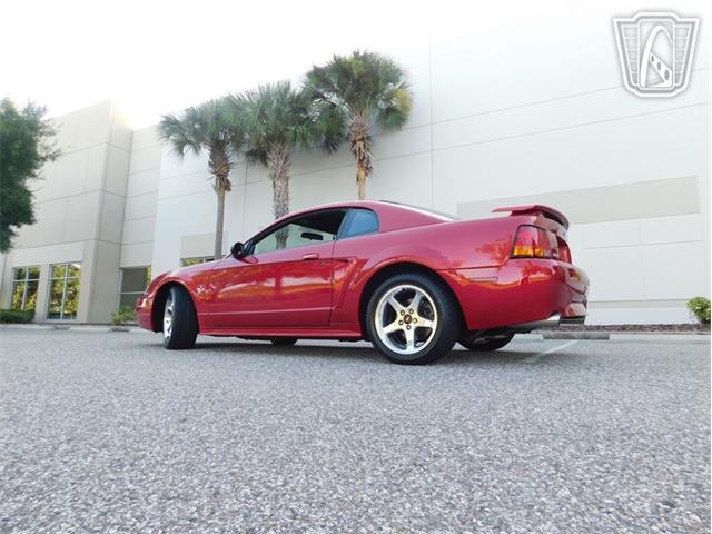 2001 Ford Mustang (CC-2065500) for sale in Ruskin, Florida