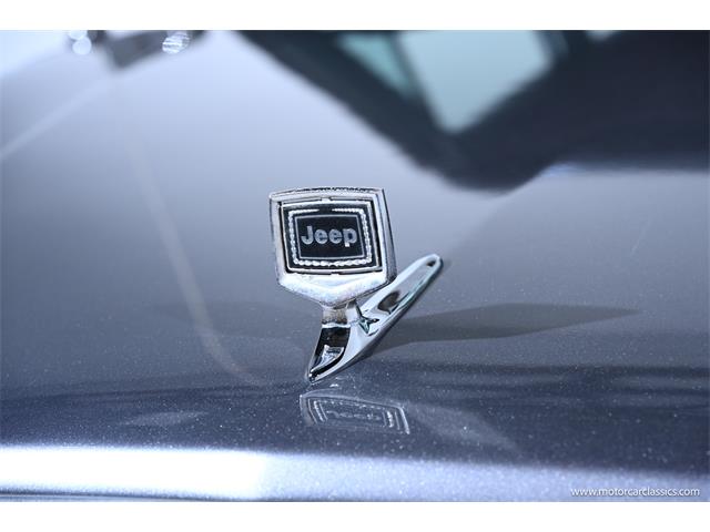 1991 Jeep Grand Wagoneer (CC-2065525) for sale in Farmingdale, New York