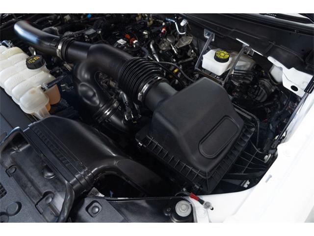 2023 Ford Expedition (CC-2065534) for sale in Bristol, Pennsylvania