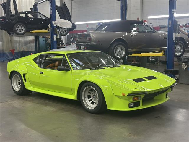 1982 De Tomaso Pantera (CC-2065569) for sale in Huntington Station, New York