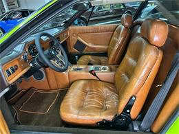 1982 De Tomaso Pantera (CC-2065569) for sale in Huntington Station, New York