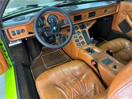 1982 De Tomaso Pantera (CC-2065569) for sale in Huntington Station, New York