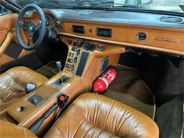 1982 De Tomaso Pantera (CC-2065569) for sale in Huntington Station, New York