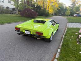 1982 De Tomaso Pantera (CC-2065569) for sale in Huntington Station, New York