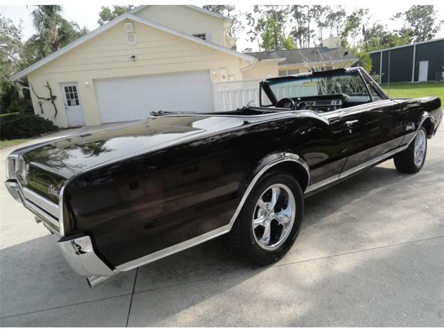 1967 Oldsmobile Cutlass Supreme (CC-2065574) for sale in Sarasota, Florida